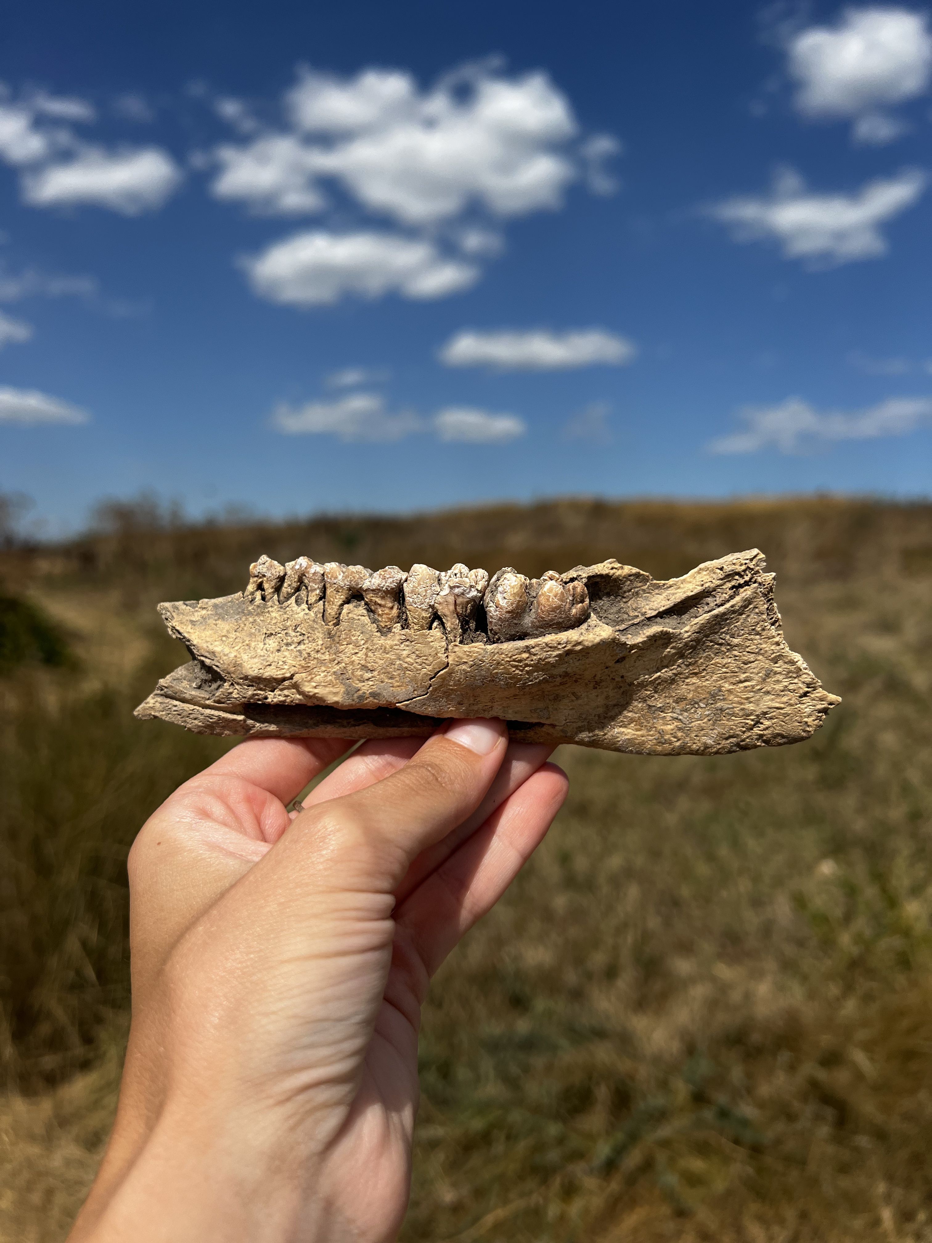 Fragment de vas ceramic