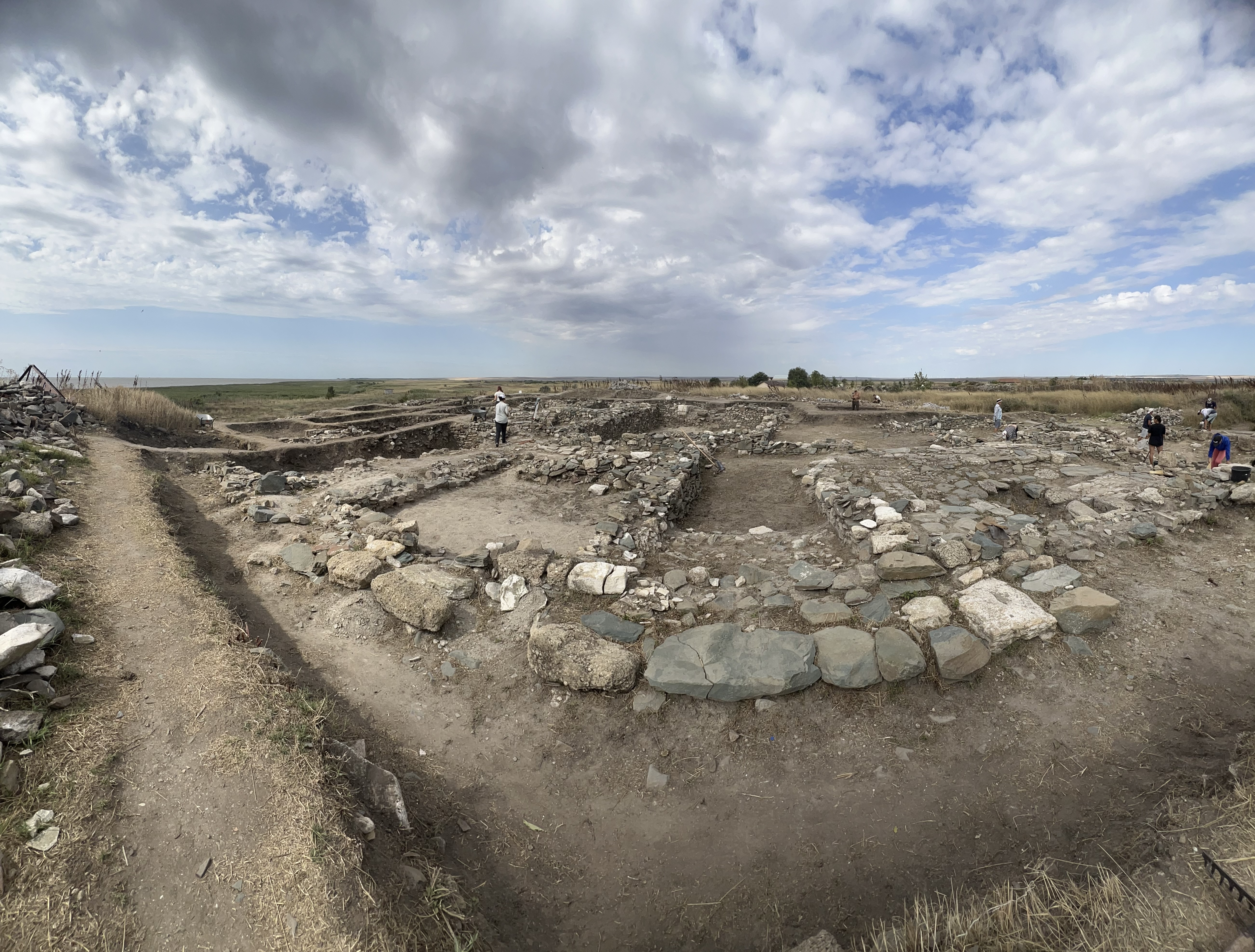 Fragment mandibulă de porc